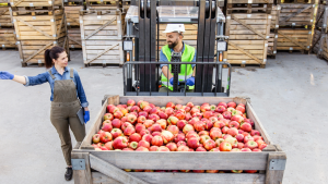 What Is ISO 22000 – Food Safety Management Systems