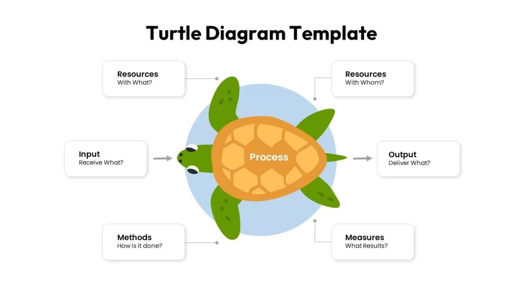 Turtle Diagram: how to analyze and improve your processes